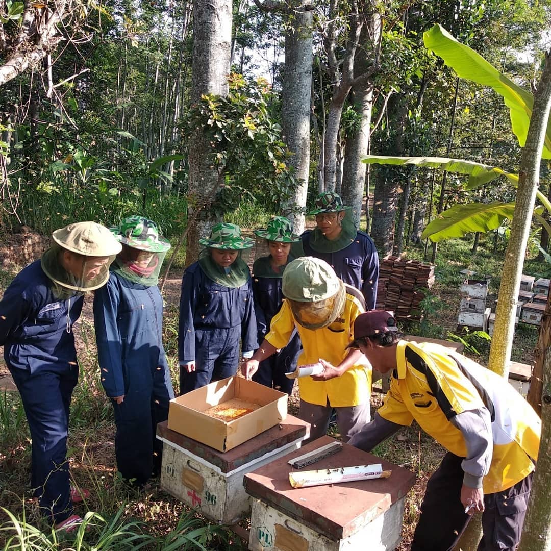 Madu Pondok Lebah (Global)